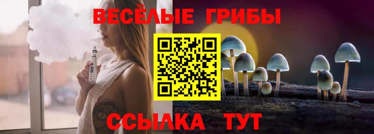 Псилоцибиновые грибы Magic Shrooms  где можно купить   Касимов  Вход с VPN 